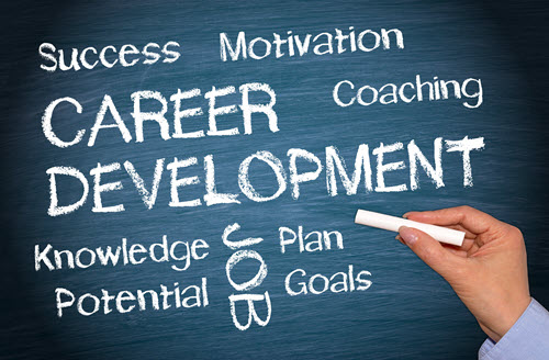 Information Technology Career Development